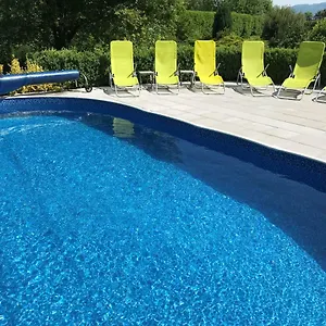 Gasthuis Dvur Stran & Wellness, Karlsbad
